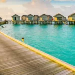 8 Best Foods for Healthy & Glowing Skin