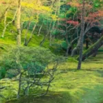 8 Best Foods for Healthy & Glowing Skin