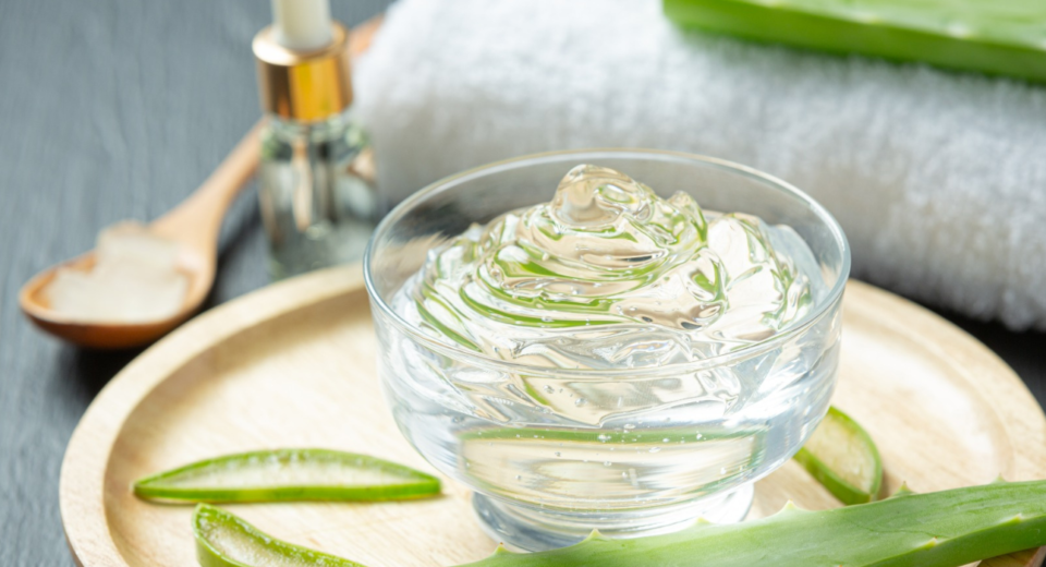 Top 10 Benefits of Aloe Vera - United Netizens