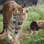 10 Best Luxury Hotels In India