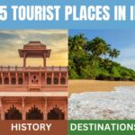 Nutritious Foods That Are High in Vitamin D