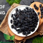 Top 5 Must-Visit Destinations in Lakshadweep