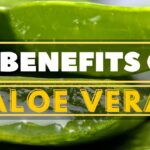 Top 10 Things to Do in Phuket