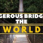 Top 10 River Cruises In The World