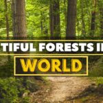 10 Most Beautiful Lakes in the World | World’s Most Amazing Lakes