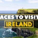 10 Most Terrifying Insects in the World | United Netizens