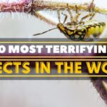 10 Most Stunning African Cities | United Netizens