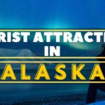 Top 10 Most Dangerous Fishes in the World | United Netizens