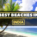 15-Minute Total Body Workout