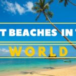 Best Health and Beauty Tips For Women & Girls