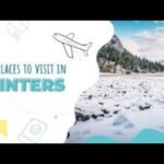 6 Ways Coffee Benefits Your Health