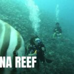 Vitamin D Delights: Nourishing Your Body for Optimal Health