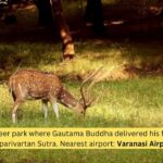 Top 5 Strategic Straits and Channels in The World