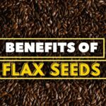 Top 5 Fastest Bikes in the World