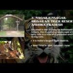 The 9 Most Romantic Islands in The World