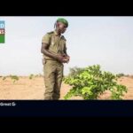 Embark on a Spiritual Journey: Exploring Key Buddhist Sites for Nirvana