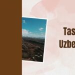 Beyond Earth: The Remarkable Journey of Global Moon Landings