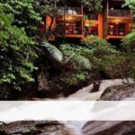 Discover the World’s Top 5 Highest Stadiums!