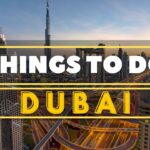 Top 5 Fastest Birds in the World