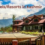 Cheap and Best Hotels/Resorts in Manali