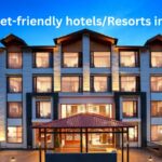 Best Hotels & Resorts in Manali