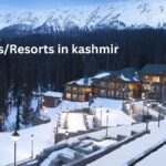 Best Budget-Friendly Hotels & Resorts in Manali