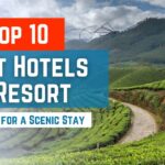 Best Resorts in Munnar for a Peaceful Nature Retreat