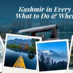 Budget Bliss: Affordable Hotels in Kashmir With Stunning Views